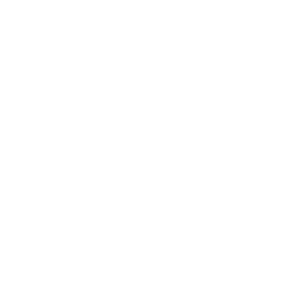 DNS Text